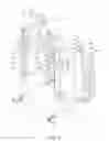 Fig. 16 - Multifunctional leg training machine
