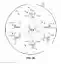 Fig. 17 - Dual-handled selectively rotating weight device and related systems and methods