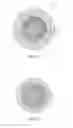 Fig. 03 - Multi-layered golf balls having foam center with selective weight distribution