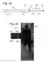 Fig. 10 - BASEBALL TRAINING DEVICES, SYSTEMS AND METHODS