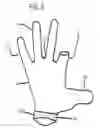 Fig. 03 - Golf gloves