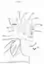 Fig. 07 - Golf gloves