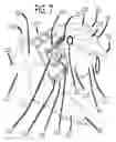Fig. 08 - Golf gloves