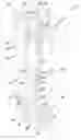 Fig. 01 - Liquid filter, assembly, system, and methods