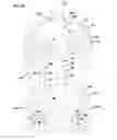 Fig. 18 - Liquid filter, assembly, system, and methods