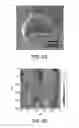 Fig. 07 - Method of forming polyelectrolyte complex capsules