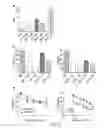 Fig. 04 - Method for generating an affinity reagent library