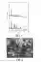 Fig. 02 - AEI zeolite containing phosphorus and production method therefor