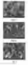 Fig. 04 - AEI zeolite containing phosphorus and production method therefor