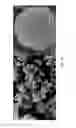 Fig. 05 - Photocatalyst using semiconductor-carbon nanomaterial core-shell composite quantum dot and method for preparing the same