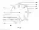 Fig. 06 - Gas-based microfluidic devices and operating methods thereof
