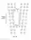 Fig. 17 - Devices and method for enrichment and alteration of cells and other particles