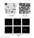 Fig. 37 - Devices and method for enrichment and alteration of cells and other particles