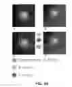 Fig. 38 - Devices and method for enrichment and alteration of cells and other particles