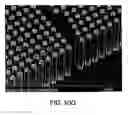 Fig. 43 - Devices and method for enrichment and alteration of cells and other particles