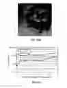 Fig. 72 - Devices and method for enrichment and alteration of cells and other particles