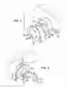 Fig. 03 - Painting Kit