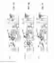 Fig. 08 - Bead-apex assembly systems