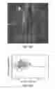 Fig. 19 - Continuous flow, size-based separation of entities down to the nanometer scale using nanopillar arrays
