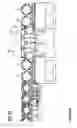 Fig. 04 - Edger feed rolls