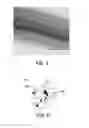 Fig. 05 - Abrasive article and method of forming