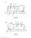Fig. 03 - Knife sharpening device
