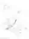 Fig. 06 - Pliers apparatus