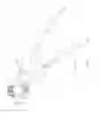 Fig. 08 - Pliers apparatus
