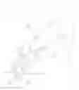 Fig. 10 - Pliers apparatus