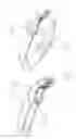 Fig. 12 - Pliers apparatus