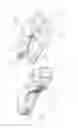 Fig. 13 - Pliers apparatus