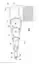Fig. 05 - TOOTHBRUSH WITH AN EXTENDABLE HANDLE