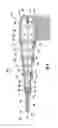 Fig. 09 - TOOTHBRUSH WITH AN EXTENDABLE HANDLE