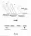 Fig. 23 - Razor with pivoting head