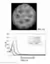 Fig. 10 - Controlled formation of cellular material and apparatus