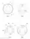 Fig. 04 - Reconfigurable scoring heads