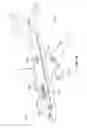 Fig. 07 - Methods of forming a thinned prepreg sheet