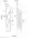 Fig. 06 - Liquid discharge head and recording apparatus