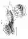 Fig. 05 - Image recording apparatus