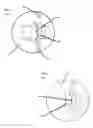 Fig. 04 - Paper binding fasteners