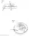 Fig. 05 - Paper binding fasteners