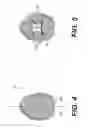 Fig. 03 - DECORATIVE EGG SYSTEM AND METHOD