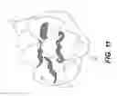 Fig. 09 - DECORATIVE EGG SYSTEM AND METHOD