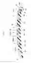 Fig. 03 - Pneumatic tire