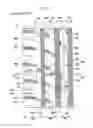Fig. 04 - Pneumatic tire