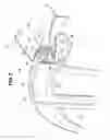 Fig. 03 - Vehicle-use seal structure