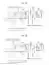 Fig. 06 - Powertrain for hybrid vehicle