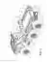 Fig. 03 - All-terrain vehicle having six wheels