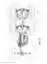 Fig. 10 - All-terrain vehicle having six wheels