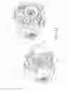 Fig. 13 - All-terrain vehicle having six wheels